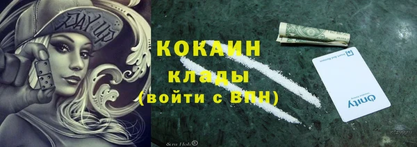 тгк Медвежьегорск